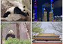 create a personalized itinerary for your journey to china